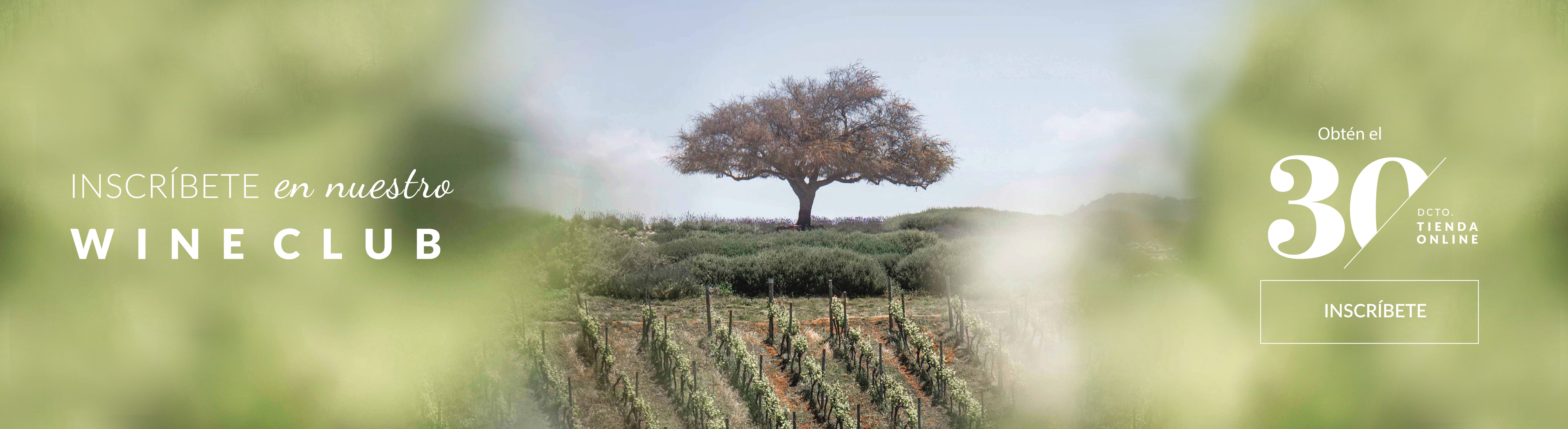 Wine club - Casas del bosque